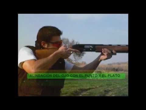 TECNICA TIRO AL PLATO tecnica tiro al plato: