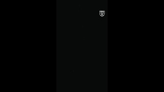 0n2d62xpqZk Video Image