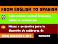 FROM ENGLISH TO SPANISH = Post mortem animal dissection tables or accessories