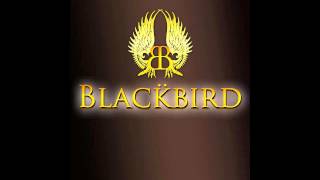 Watch Blackbird Black Rain video