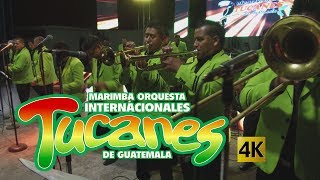 Internacionales Tucanes - Venciendo La Guerra 4K