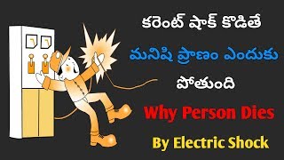 Why Person Dies By Electric Shock In Telugu || Telugu Knowledge Videos By Telugu Gyan
