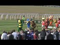 Mascot Grand National 2009