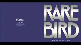 Watch Rare Bird Hammerhead video