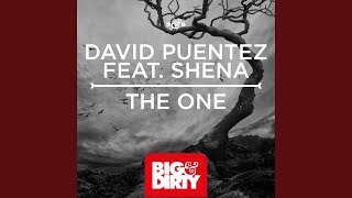 The One (Feat. Shena)