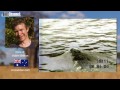 CROCODILE ATTACKS MAN IN WATER  - Real or Fake?