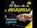 marimba orquesta santa cecilia--la hacendosa--la cosa. (1)