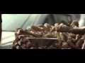 MASALA REPUBLIC TEASER # 1 MASALA REPUBLIC TEASER # 1