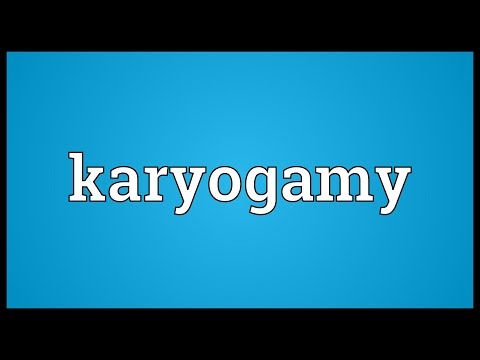 Header of karyogamy