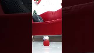 Crush Experiment 3 In High Heels Stiletto Crushing Crunchy & Soft Things By Shoes