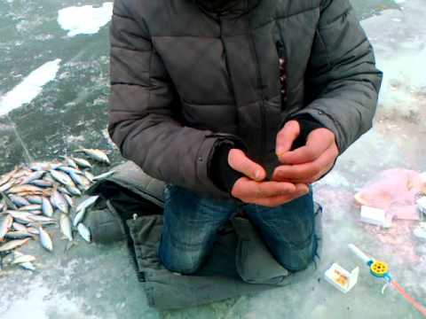 запрет на рыбную ловлю 2016 в черниговской области запрет на рыбную ловлю 2016 в черниговской области