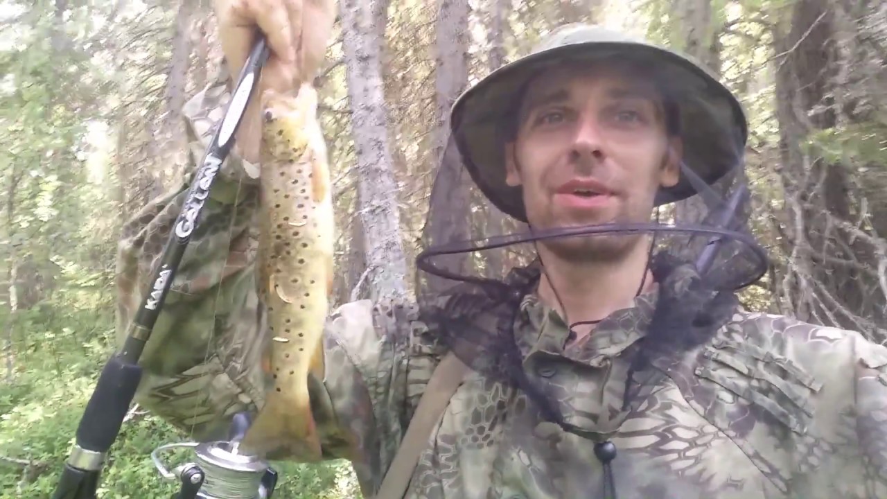 летняя рыбалка на белом море видео летняя рыбалка на белом море видео