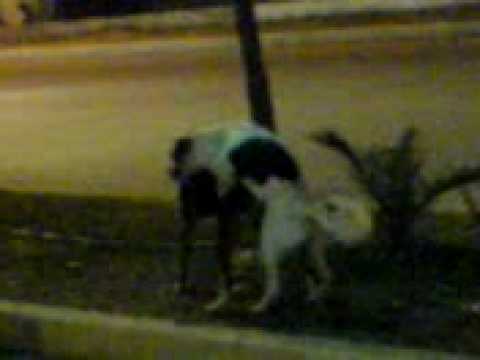 deite ti travi3a stn touzla.t euxaristioude padwsexw k ala tetia