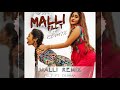 Malli Remix - Fill T tf. Dj Shaa