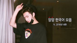 0q2Lyz2dDoE Video Image