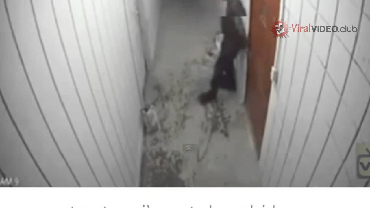 TORPE LADRON QUEDA ATRAPADO EN DONDE PRETENDIA ROBAR TORPE LADRON QUEDA ATRAPADO EN DONDE PRETENDIA ROBAR