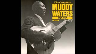 Watch Muddy Waters Goodbye Newport Blues video