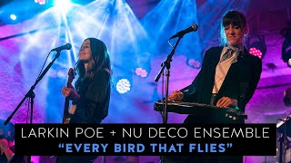 Larkin Poe & Nu Deco Ensemble - Every Bird That Flies