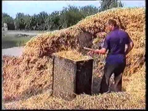 Прицепы для перевозки рулонов сена своими руками Прицепы для перевозки рулонов сена своими руками