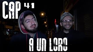Con Ánimo De Ofender Cap - A Un Loro