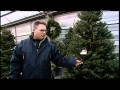 Finding the Perfect Christmas Tree from Lacoste Garden Centre Finding the Perfect Christmas Tree from Lacoste Garden Centre