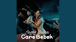 Download lagu Care Bebek