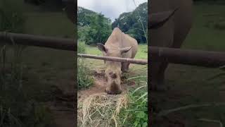 World Biggest Fart The