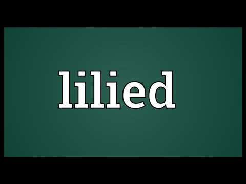 Header of lilied