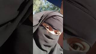 Purdah
