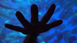 333 Yoga inside the Experience //