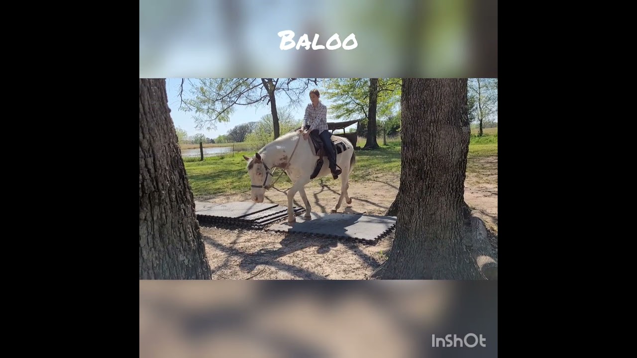Baloo