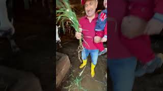 Egemen Çoban Oldu