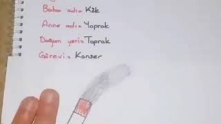 Adi Si̇gara Soyadi Tütün