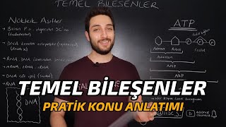 CANLILARIN TEMEL BİLEŞENLERİ | ÖZET KONU ANLATIMI | #yks2022