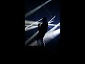Damso - B. #QuedusaalVie - live à Lyon 26/11/18