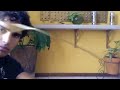 ¿Cómo hacer un 'Globo de Cantoya/Aerostático' casero?