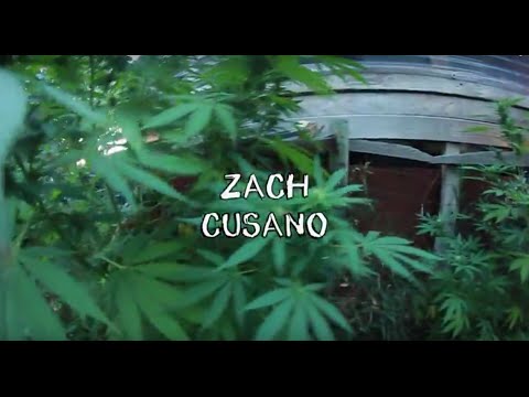 Zach Cusano - Coloweedo