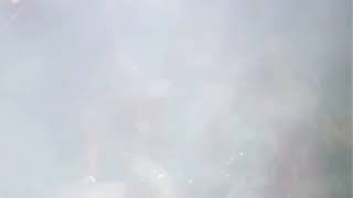 Yaşasın Yemek Yemek