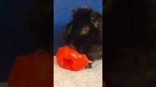 Pac Man