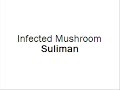 Infected Mushroom - Suliman