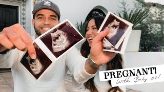We're Pregnant 👶❤️Baby Announcement! + First Trimester 12 Weeks | Pregnancy Vlog 2020 Ep. 01