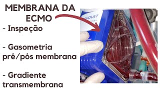 Avaliando o funcionamento da membrana da ECMO: o valor da inspeção, gasometrias e gradientes.