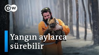 Avustralya'da yangınların yok ettiği kasaba- DW Türkçe