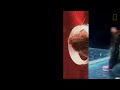 See How Easily a Rat Can Wriggle Up Your Toilet | National Geographic