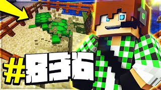 Minecraft ITA - #836 - A CACCIA DI TARTARUGHE