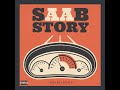 view Saab Story