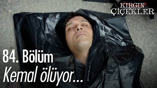 Kemal Ölüyor... - Kırgın Çiçekler 84. Bölüm - Atv