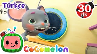Mini Minnacık Fare 🐭 | CoComelon Türkçe | Çizgi Film | Bebek Şarkıları