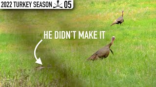 Field Birds Leave the Hens! NO DECOYS - Just the Wingbone Call