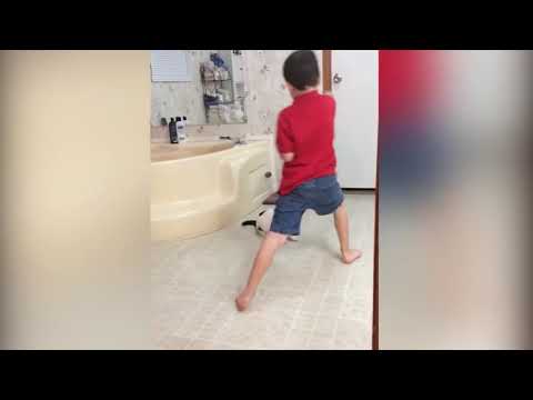 Funny Cats Annoying
